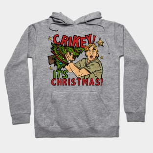 crikey its christmas Hoodie